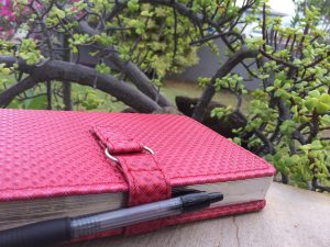 Gratitude Journal